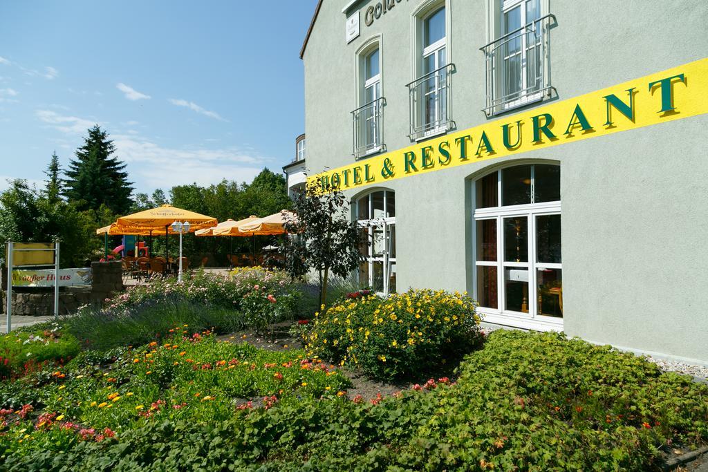 Hotel Goldener Fasan Oranienbaum-Woerlitz Eksteriør billede