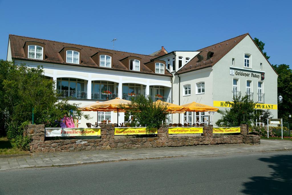 Hotel Goldener Fasan Oranienbaum-Woerlitz Eksteriør billede