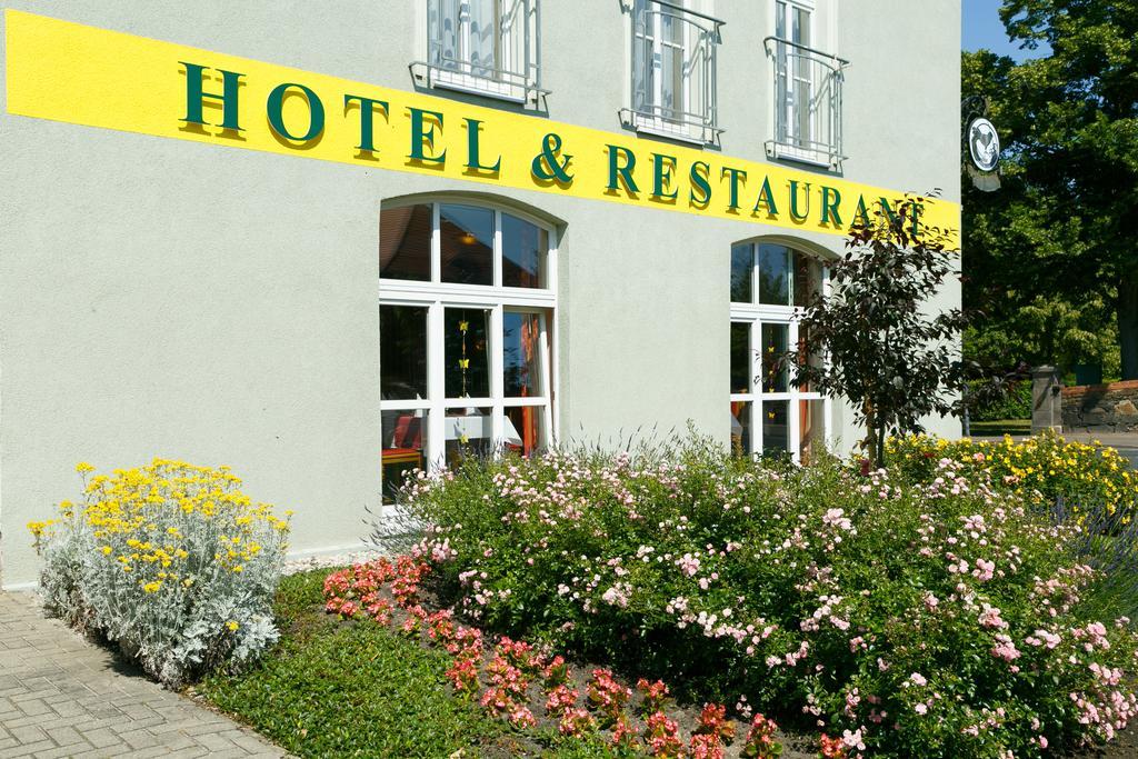 Hotel Goldener Fasan Oranienbaum-Woerlitz Eksteriør billede